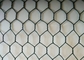 3/4in 1.0mm Galvanized Steel Poultry Netting Roll 30m Green Pvc Coated Chicken Wire
